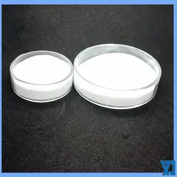 Biotin (Rumen Digestible / Rumen Bypass)